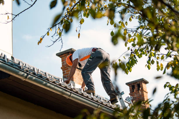 Best Residential Roof Replacement  in Zeigler, IL