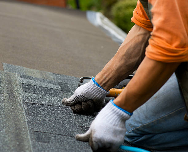 Best Shingle Roofing Installation  in Zeigler, IL